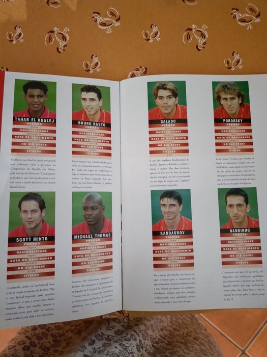 Moedas da coleção do Sport Lisboa e Benfica
