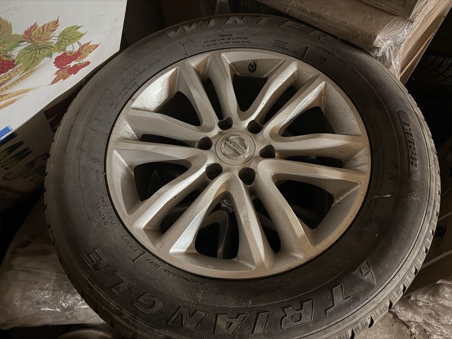 Triangle Winter TR797