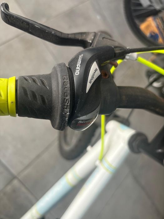 Bicicleta Berg 243