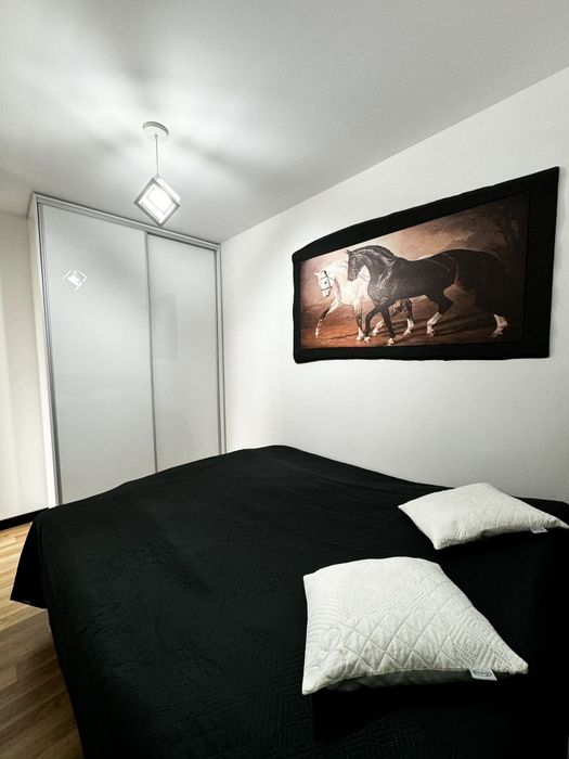 Apartament Niko w Gnieźnie na doby