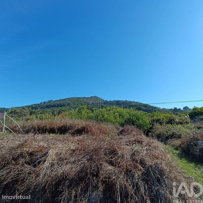 Terreno em Moledo e Cristelo