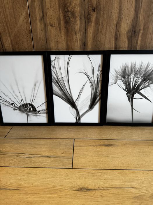 Zestaw obrazów w ramie