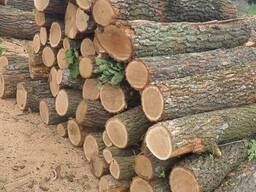 Дрова тверда порода з доставкою