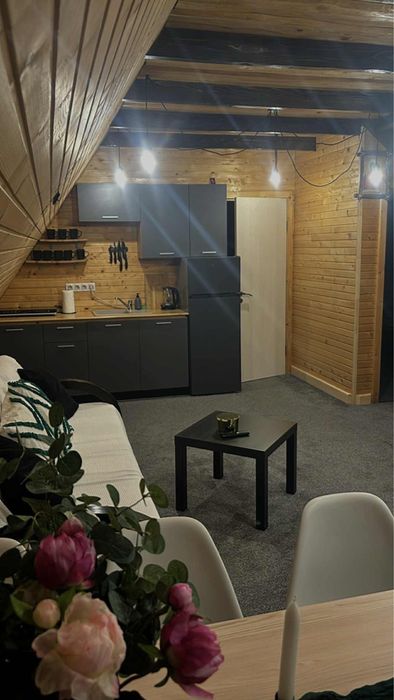 Відпочинок в горах Сенечів . Оренда котеджу . Відпочинок   в Карпатах