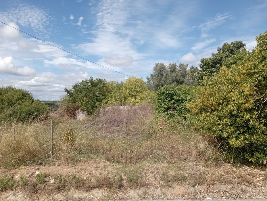 Casa de campo em ruína com terreno