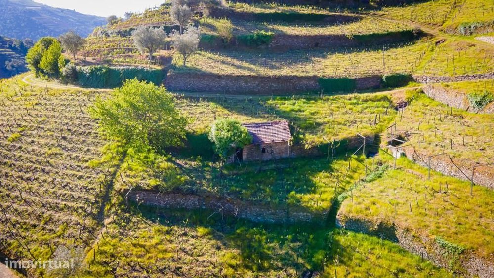 Quinta Sra. da Lapa, Douro, Santa Marta de Penaguião