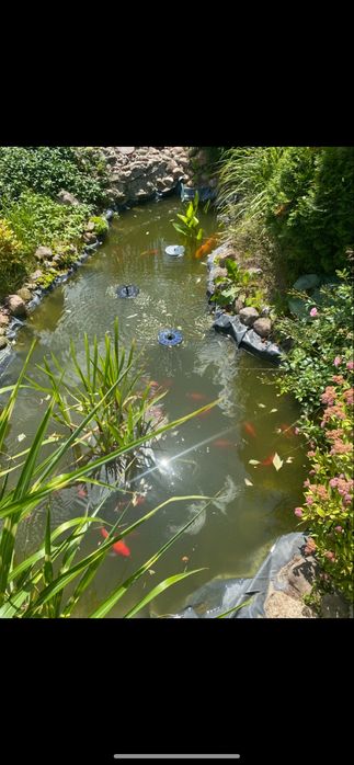 Na sprzedaż Działka ROD RELAX Szałe