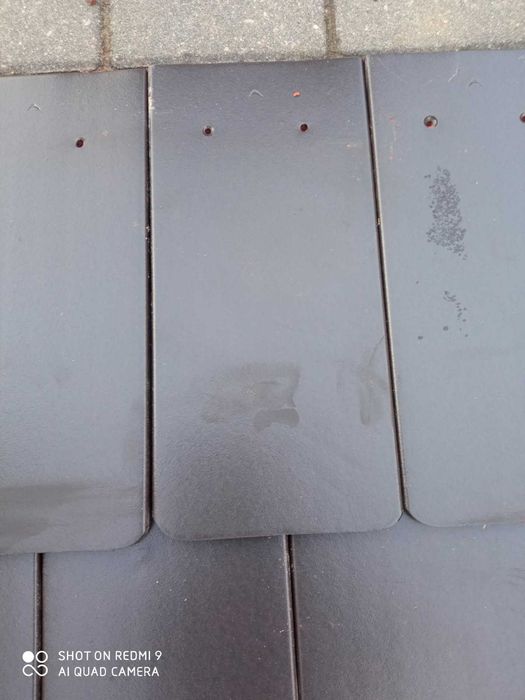 Nowa Karpiówka grafitowa na palecie