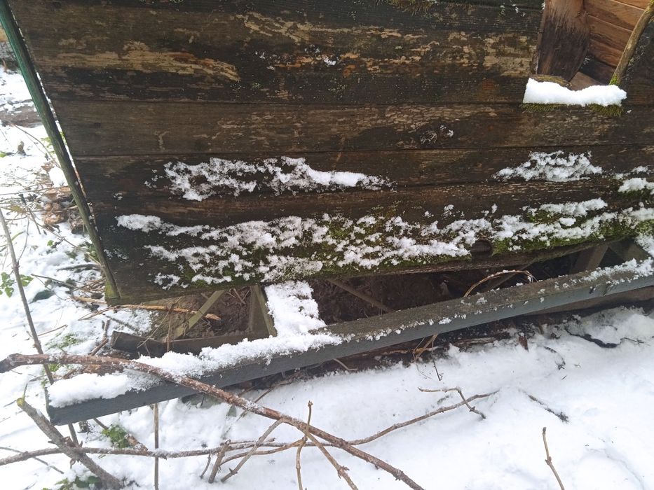 Кінні сані для одного коня