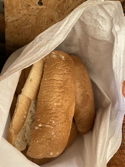 Chleb dla zwierząt - super okazja