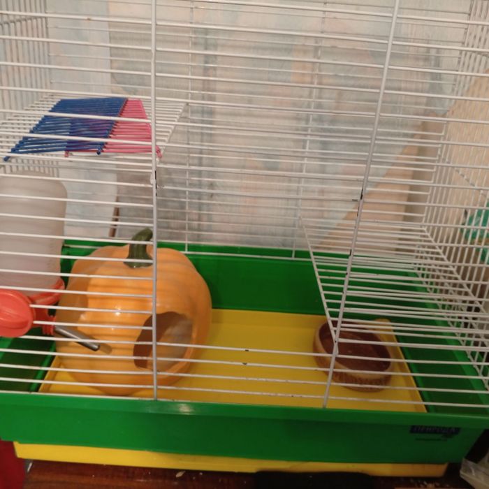 Клітка для гризунів