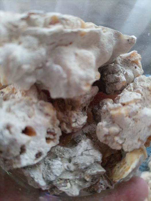Żywica sosnowa 60 gr