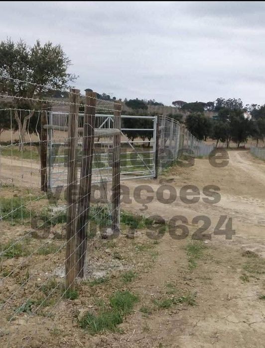 Vedações agrícolas e vinhas