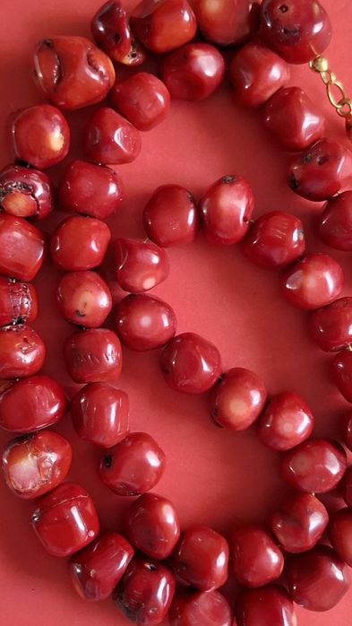 Korale z kamienia koral