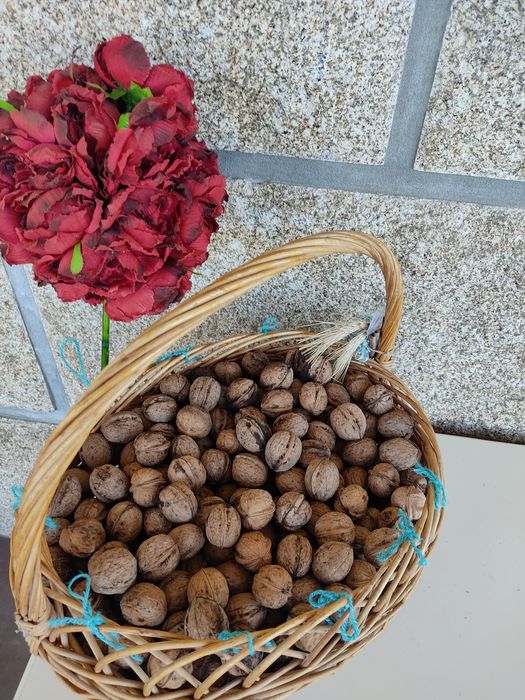 Nozes biológicas caseiras