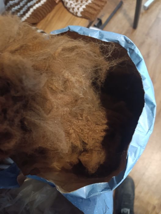 Runo alpak do przędzenia pierwsza jakość