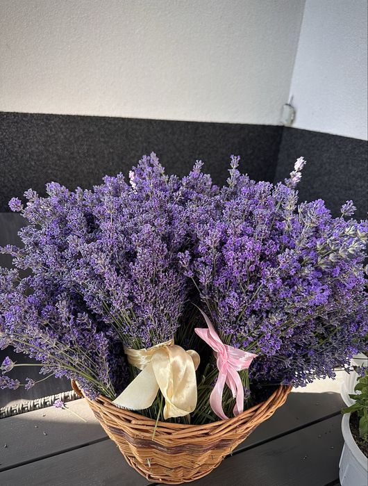 Лаванда в букетиках