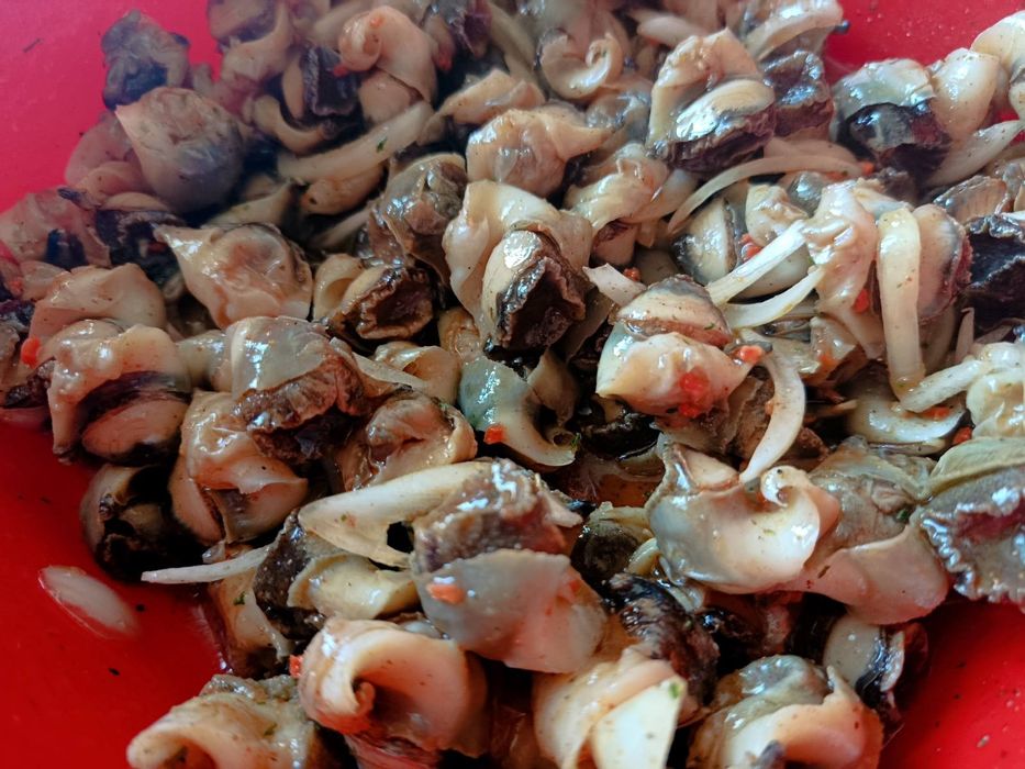 Рапани мариновані 1300грн 1 кг