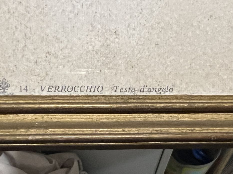 “Verrocchio – Testa d’angelo” (Cabeça de Anjo)