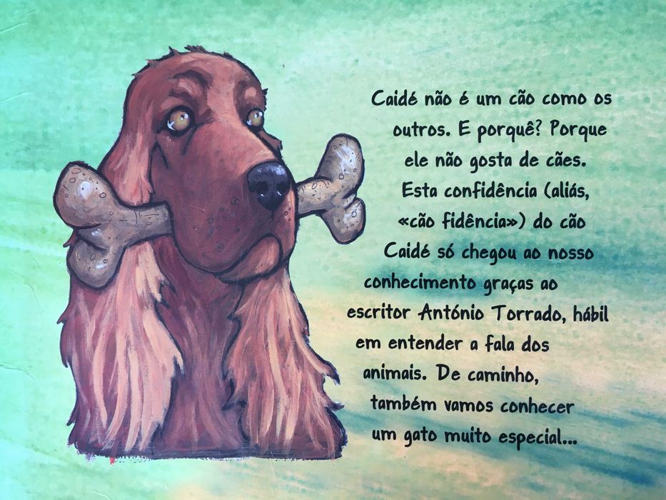 Livro "As aventuras de Caidé e O gato que queria ser rei"