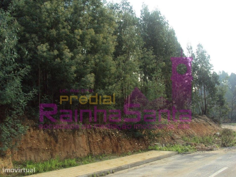 Lote p/ construção - São Martinho do Bispo - Coimbra
