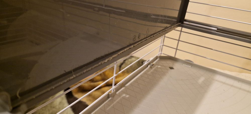 Piętrowa klatka dla królika lub szynszyli