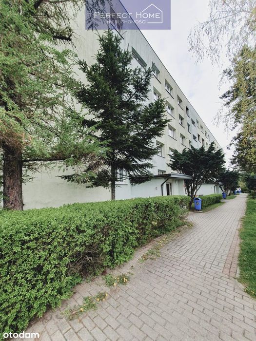 Mieszkanie 30 m2 na parterze, wyposażone  z klimatyzacją / 2 balkony