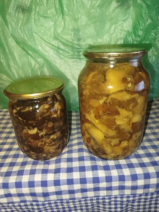 Мариновані гриби