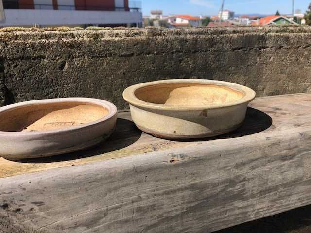 Conjunto de vasos de bonsai Erin Poterry
