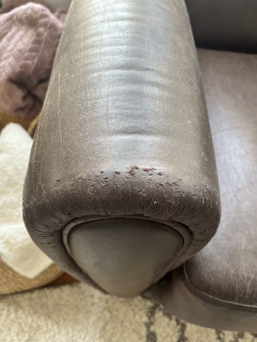 Poltrona de pele Area