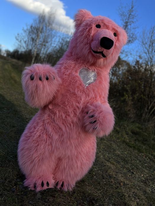 Рожевий ведмедик Коломия.Білий ведмідь.Аніматори