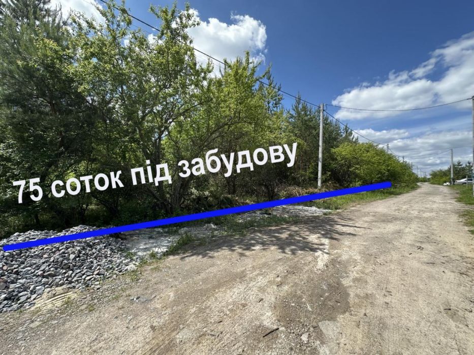 Тарасівка 75 соток під будівництво з соснами вихід в ліс з двох сторін