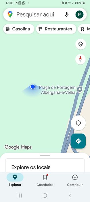 Terreno Pinhal e eucalipto