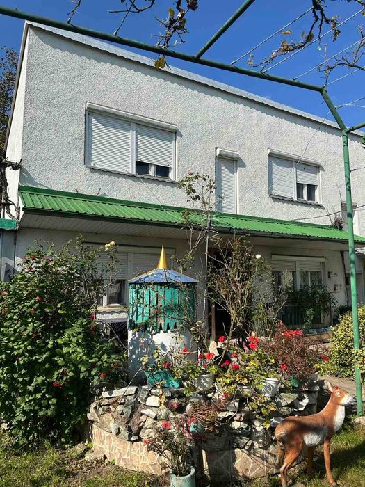 Продається будинок в с. Вільхівці
