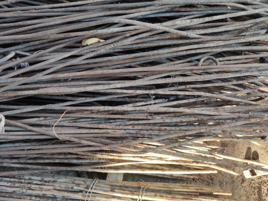 тички помидорни для города