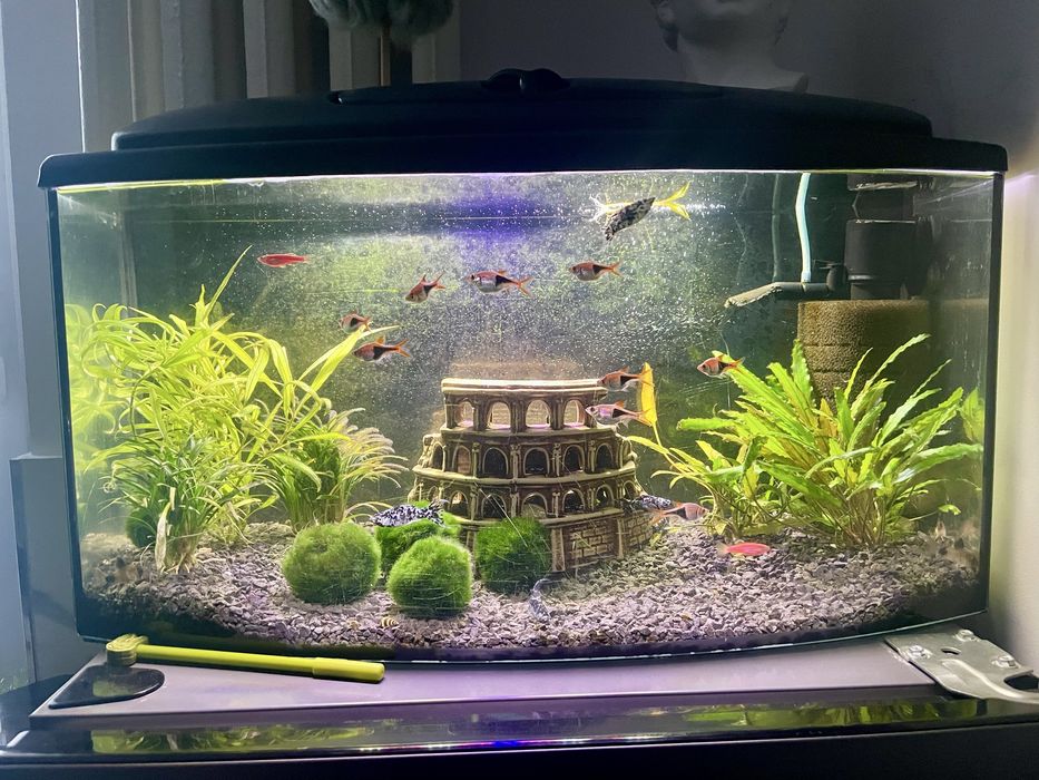 Akwarium 54 l panoramiczne okazja