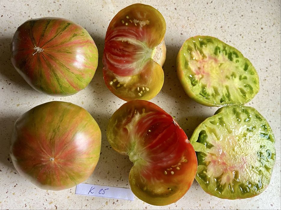 Bardzo duży wybór nasiona pomidorów kolekcjonerskie