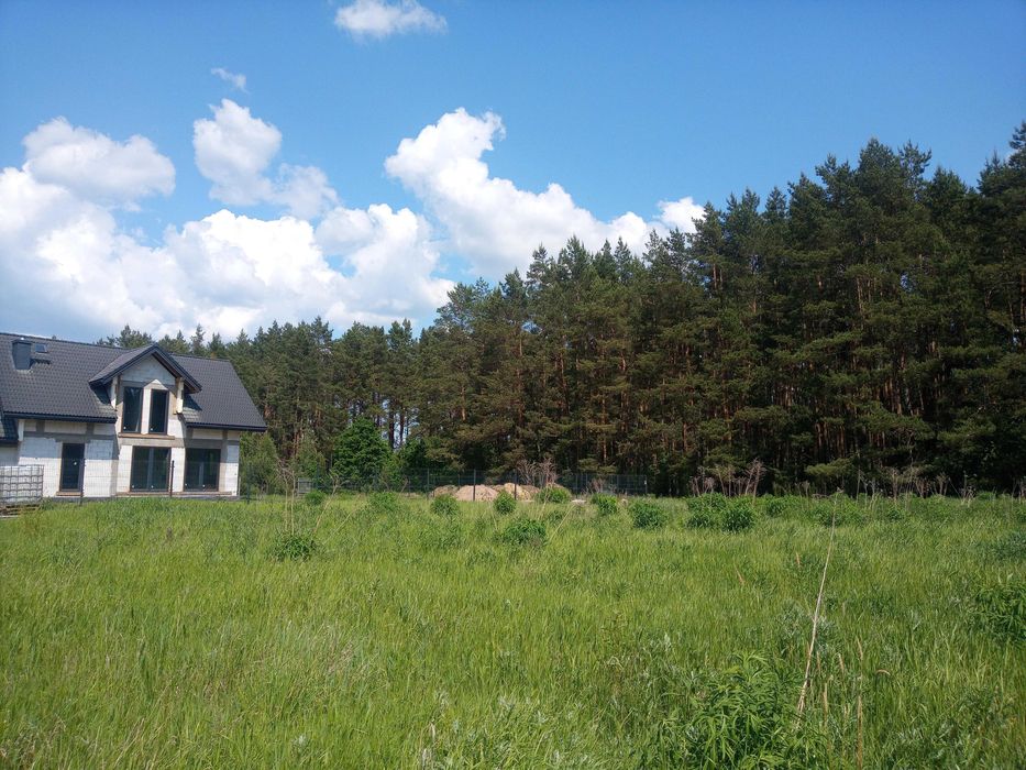 Atrakcyjna działka przy lesie. Kuriany