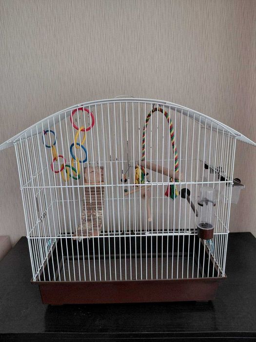 Клітка для папуги