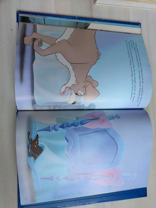 Disney Zakochany kundel super książka Egmont 2009 rok