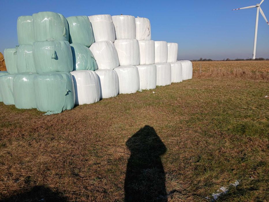 Sianokiszonka z trawy z laki