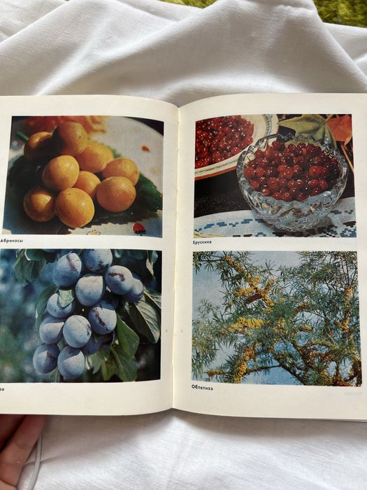 Настольоая книга по домашнему консервированию