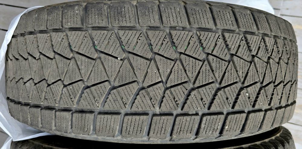 Шини Bridgestone Blizzak DM-V2 225/65 R17