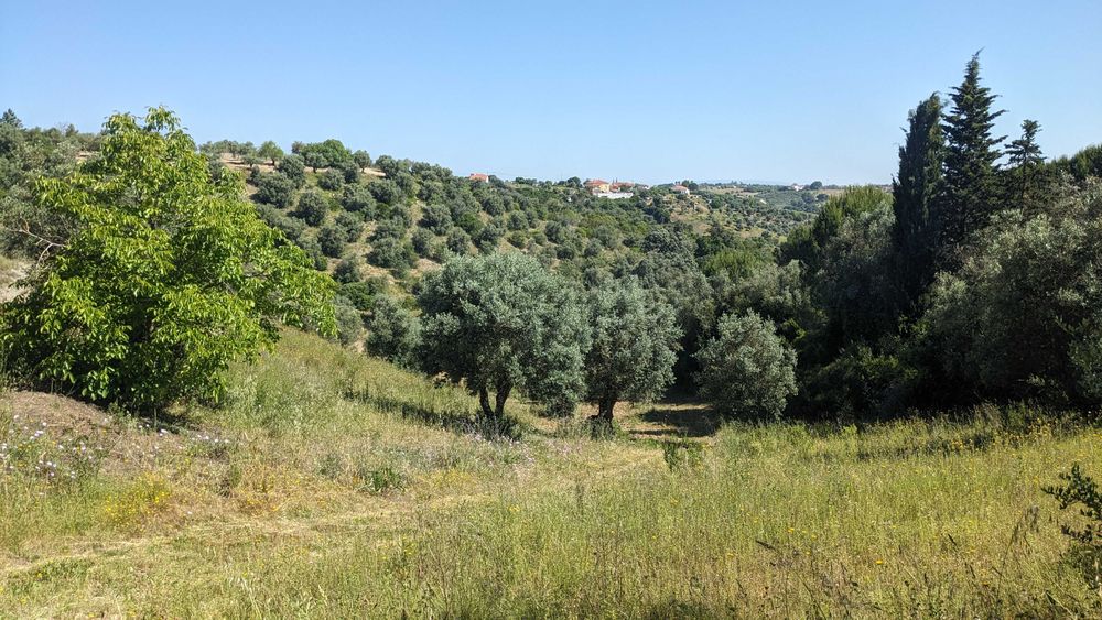 Terreno agrícola em Romeira, Santarém – 2,1 hectares