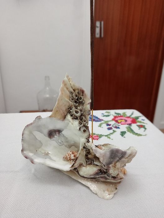 Queimador de icenso com vela feito em concha de ostra artesanal