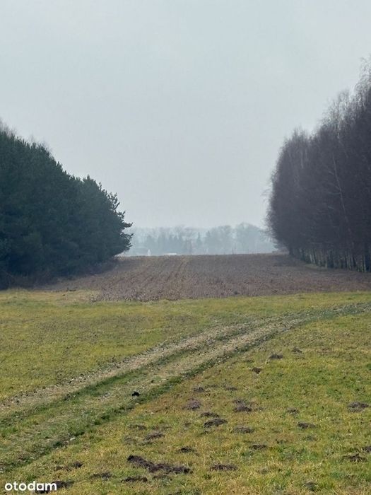 Działka rolno - inwestycyjna  23100 m2  z możliwością zabudowy