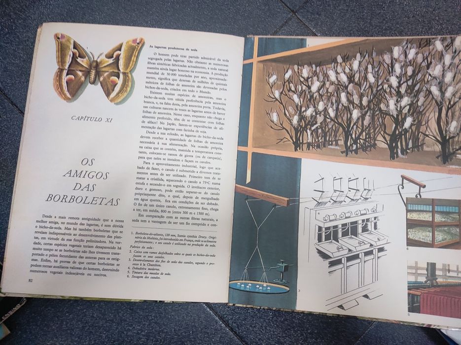 O grande livro das borboletas