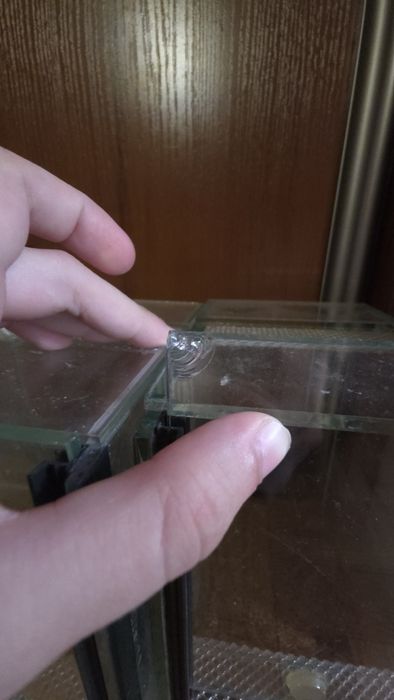 Terrarium używane tanio ptasznik pająk skorpion