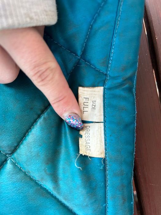 Czaprak Apelles Since 2016