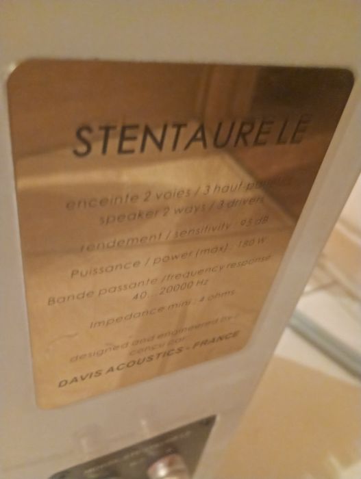 Davis Acoustics Stentaure LE – para kolumn | białe | doskonałe brzmien